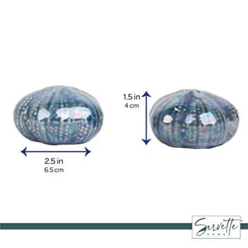 Servette Home Beach Scene Salt and Pepper Shaker Novelty Kitchen Décor- Sand Dollars