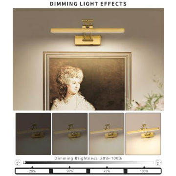 Elegant Pasoar Battery Operated Picture Light for Home Decor