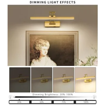 Elegant Pasoar Battery Operated Picture Light for Home Decor