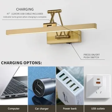 Elegant Pasoar Battery Operated Picture Light for Home Decor