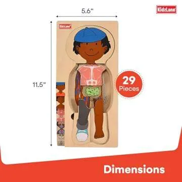 Kidzlane African American Boy Wooden My Body Puzzle for Toddlers and Kids - 29 Piece Girls Anatomy Puzzle Kid Play Set - Anatomy for Kids, Skeleton Toys for Kids Ages 3 Plus