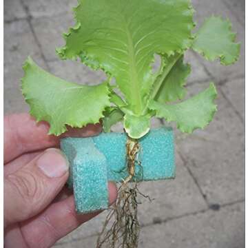 Eco-Friendly 1" GrowGrip Plant Holder for Hydroponics