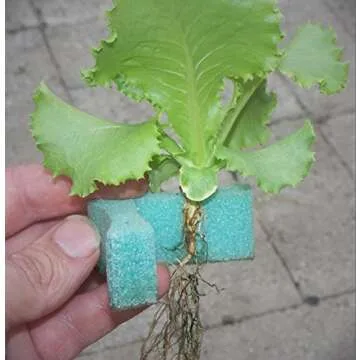 Eco-Friendly 1" GrowGrip Plant Holder for Hydroponics