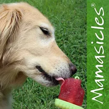 Popsicles Molds with Sticks for Summer Fun 6 Individual Pieces BPA Free Popsicle Holders for Kids Reusable Plastic Ice Pop Mold with Silicone Funnel and Cleaning Brush by Mamasicles