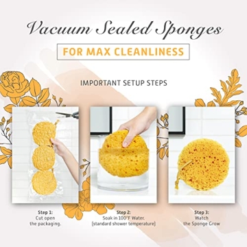 Spongentle Deep Cleansing Loofah Sponge for Exfoliation