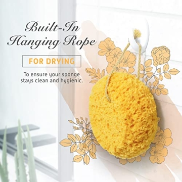 Spongentle Deep Cleansing Loofah Sponge for Exfoliation