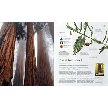 The Tree Book: Discover the Science and Stories of Trees
