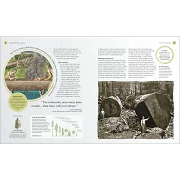 The Tree Book: Discover the Science and Stories of Trees