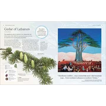 The Tree Book: Discover the Science and Stories of Trees