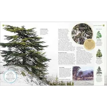 The Tree Book: Discover the Science and Stories of Trees