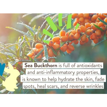 Babo Botanicals Daily Sheer Mineral Tinted Sunscreen SPF30