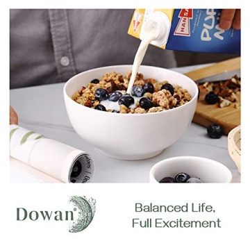 DOWAN 22 OZ Ceramic Bowls Set of 4 for Kitchen