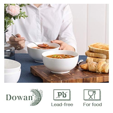 DOWAN 22 OZ Ceramic Bowls Set of 4 for Kitchen