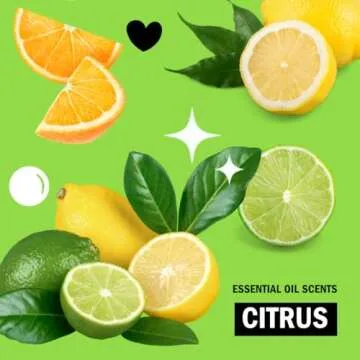 Molly's Suds Liquid Dish Soap | Clean, Simple Ingredients | Extra Scrubbing Power | Citrus Scent, 24 oz - 2 Pack