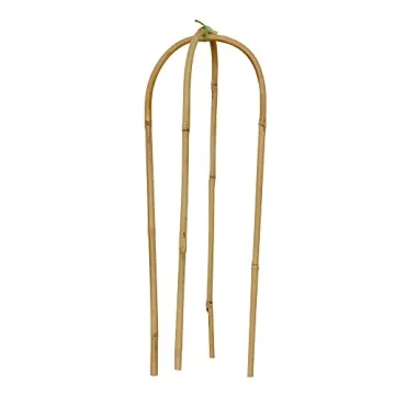 Natural Bamboo U Trellis for Indoor Climbing Plants