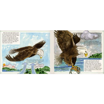 Explore the Majestic Bald Eagle with Gail Gibbons
