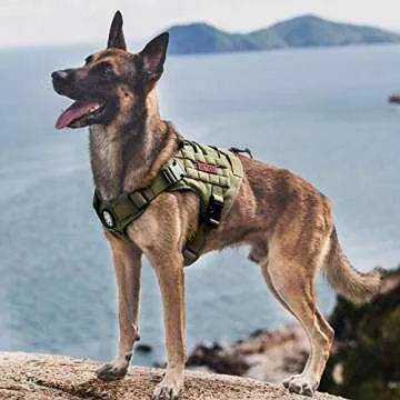 Tactical Dog Harness | Durable and Comfortable for Active Dogs