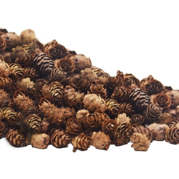 Deloky 150 Mini Natural Pine Cones for Holiday Crafts