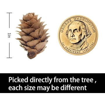 Deloky 150 Mini Natural Pine Cones for Holiday Crafts