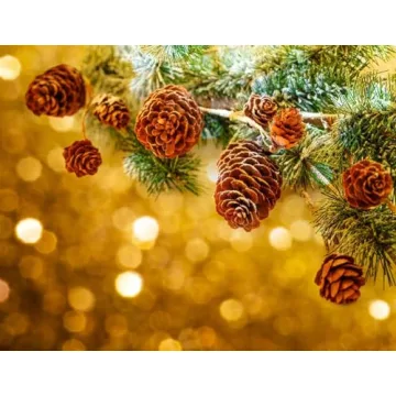 Deloky 150 Mini Natural Pine Cones for Holiday Crafts