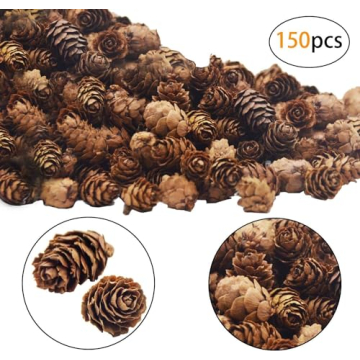 Deloky 150 Mini Natural Pine Cones for Holiday Crafts