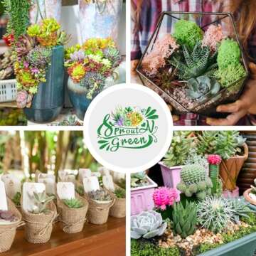 Sprout N Green Live Succulent Plants, 5 Pack Assorted Real Succulents Potted in 2" Starter Pot with Soil Mix, Rare Small Indoor House Plants for Home Garden Wedding Decor Party Favor