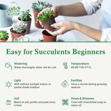 Sprout N Green Live Succulent Plants, 5 Pack Assorted Real Succulents Potted in 2" Starter Pot with Soil Mix, Rare Small Indoor House Plants for Home Garden Wedding Decor Party Favor