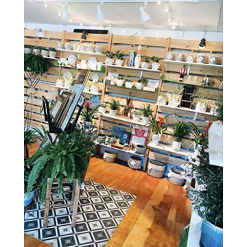 ASPECT Vita™ LED Grow Light Bulb for Indoor Plants