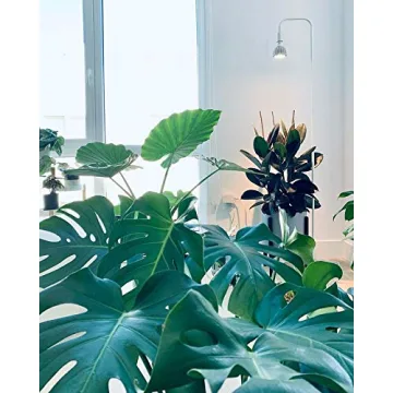 ASPECT Vita™ LED Grow Light Bulb for Indoor Plants