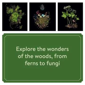 Deep Dark Forest 2025 Wall Calendar