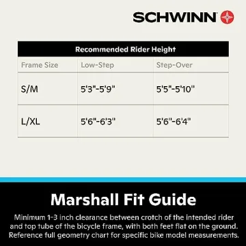 Schwinn Electric Hybrid Bike - Ultimate Comfort & Performance