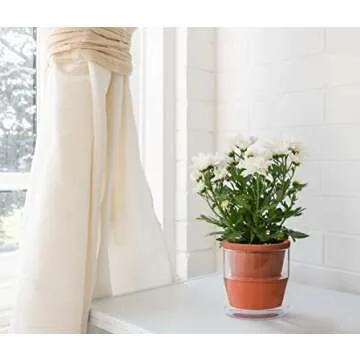 D'vine Dev 4 Inch Design Self Watering Pot for Indoor Plants, Terracotta Planter with Cylinder Glass Cup, Set of 2, 37-X-A-2