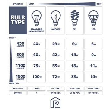 Prominence Home Eaton Ridge Brushed Nickel Vanity Light