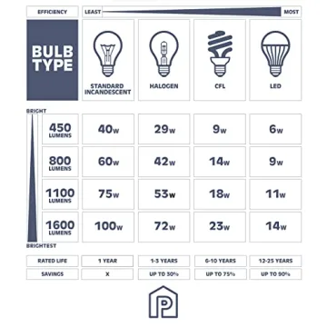 Prominence Home Eaton Ridge Brushed Nickel Vanity Light
