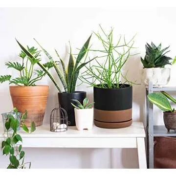 D'vine Dev 6 Inch Ceramic Planter Pot with Drainage Hole and Saucer, Indoor Cylinder Round Planter Pot, Black/Speckled Tan, 94-O-C-7