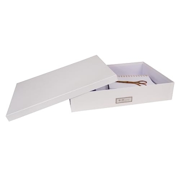 Bigso Sverker Fiberboard Legal Storage Box for Organizing