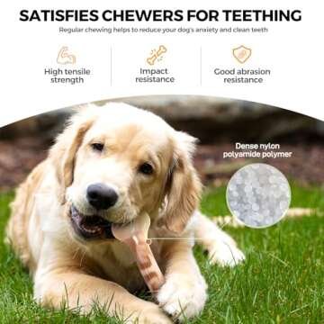 2 Pack Dog Chew Bones for Aggressive Chewers, Tough Nylon Long-Lasting Dog Toys for Large and Medium Dogs, Puppy Teething, Teeth Cleaning, Interactive Durable Chew Toys for Boredom and Anxiety Relief