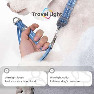 Pawaii Dog Collar and Leash Set, Personalized Dog Collar with Reflective Dog Leash, Dog Collar and Leash for Medium Dogs Adjustable Size