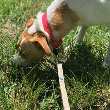 VetGen Pharmaceuticals 6' All Natural Hemp Fabric Leash for Dogs - Sustainable, Biodegradable, and Earth-Friendly - Stainless Steel Swivel Eye Bolt Snap and D-Ring - for Training or Everyday Use