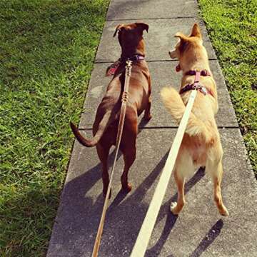 VetGen Pharmaceuticals 6' All Natural Hemp Fabric Leash for Dogs - Sustainable, Biodegradable, and Earth-Friendly - Stainless Steel Swivel Eye Bolt Snap and D-Ring - for Training or Everyday Use