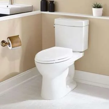 Elegant Antique Brass Toilet Paper Holder with Cover