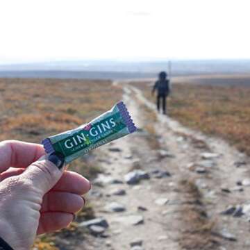 The Ginger People Gin Gins Original Chewy Ginger Candy 3 Oz (pack of 2)