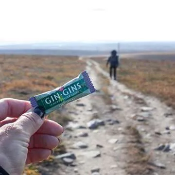 The Ginger People Gin Gins Original Chewy Ginger Candy 3 Oz (pack of 2)