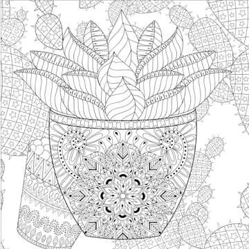 Succulents Adult Coloring Book (31 stress-relieving designs) (Artist's Coloring Books)