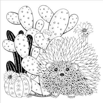 Succulents Adult Coloring Book (31 stress-relieving designs) (Artist's Coloring Books)