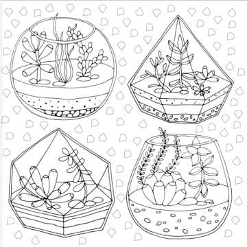 Succulents Adult Coloring Book (31 stress-relieving designs) (Artist's Coloring Books)