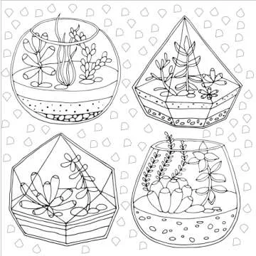 Succulents Adult Coloring Book (31 stress-relieving designs) (Artist's Coloring Books)