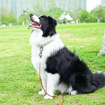 XiaZ Dog Tie Out Cable, Heavy Duty Dog Chains for Outside with Lockable Hook, Pet Runner Cable Leads for Yard, Dog Line Tether for Small Medium Large Dogs Up to 125 LBS