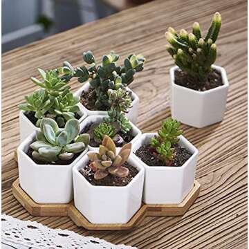 FLOWERPLUS Modern Ceramic Planter Pots - 7 Pack for Indoor Plants & Decor