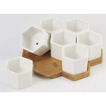 FLOWERPLUS Hexagon Ceramic Succulent Planter Set